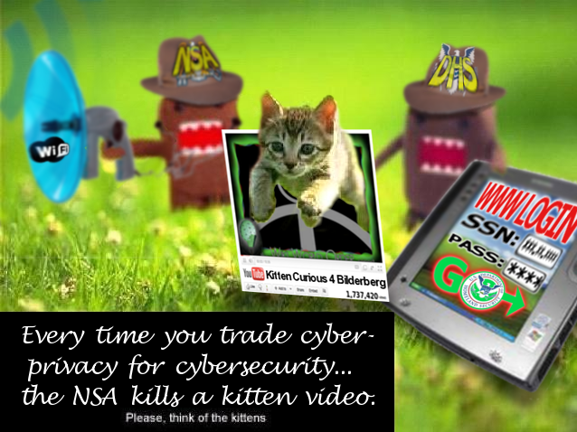 Every time you trade cyber-privacy for cybersecurity... the NSA kills a kitten video.