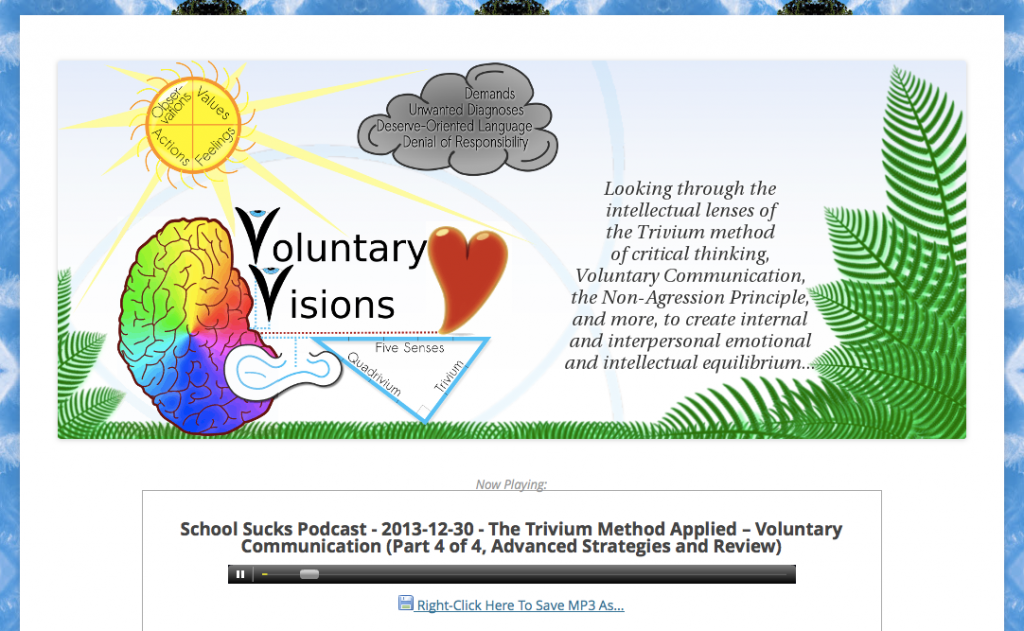 VoluntaryVisions.com Screenshot