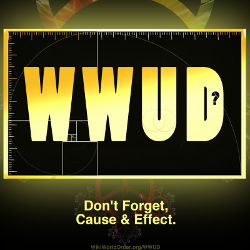WWUD? Dont Forget Cause & Effect